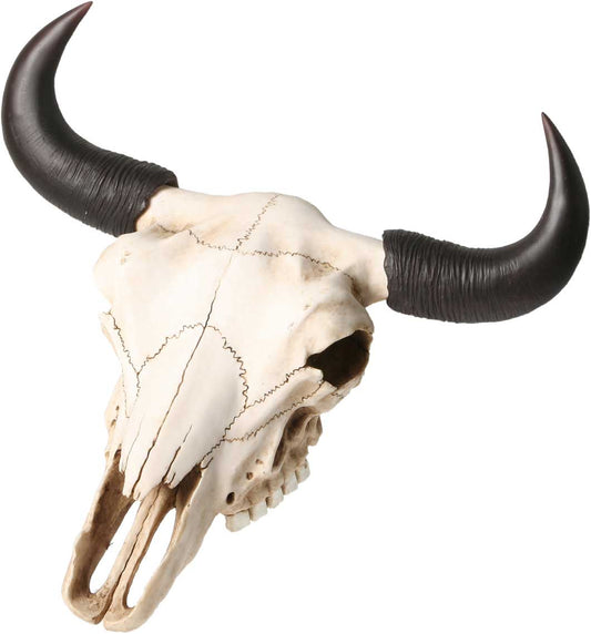 Skull, Stiersschädel, Bullenschädel 33x30x17cm aus Polyresin