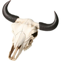 Skull, Stiersschädel, Bullenschädel 33x30x17cm aus Polyresin